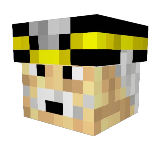 ojaiike Minecraft avatar head, 3D render
