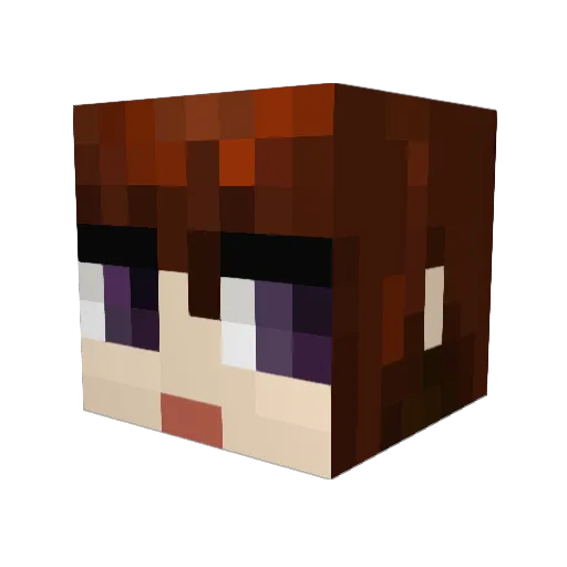 ojo_lt Minecraft avatar head, 3D render