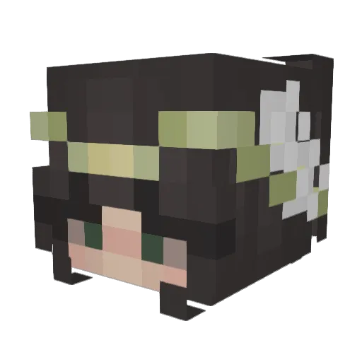 okVamp Minecraft avatar head, 3D render