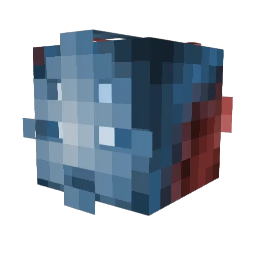 ok_ay Minecraft avatar head, 3D render
