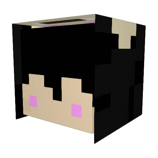 okaimonoo Minecraft avatar head, 3D render
