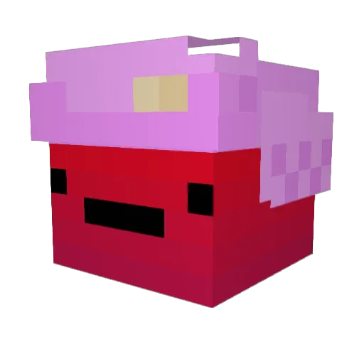 okander Minecraft avatar head, 3D render