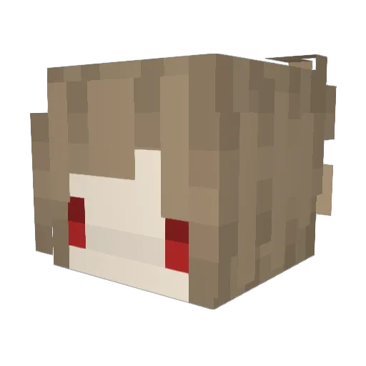 okaraxP Minecraft avatar head, 3D render