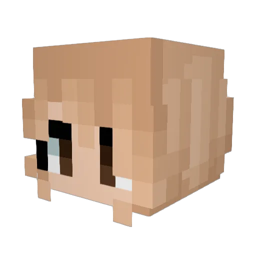 okasdo Minecraft avatar head, 3D render
