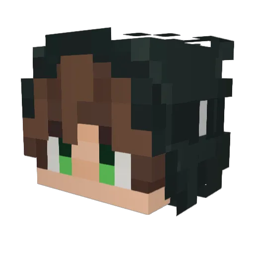 okaybean Minecraft avatar head, 3D render