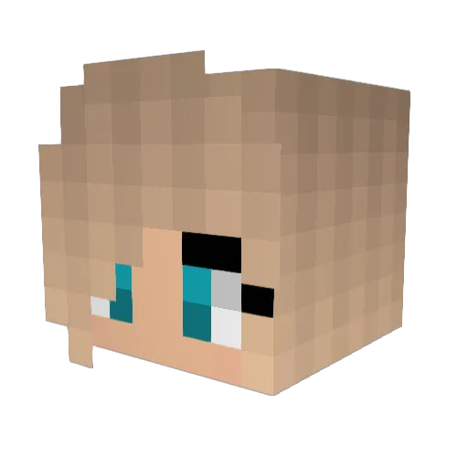 okayboomer02 Minecraft avatar head, 3D render