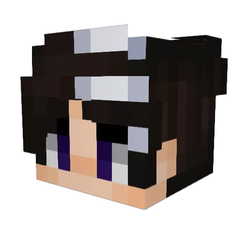 okaycherries Minecraft avatar head, 3D render