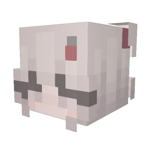 okaysam_ Minecraft avatar head, 3D render