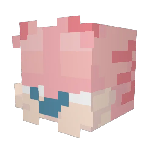 okayyish Minecraft avatar head, 3D render