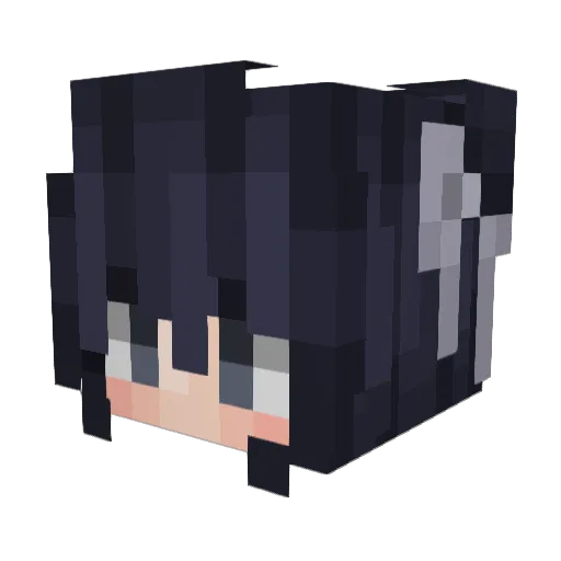 okayyyyyyyyy Minecraft avatar head, 3D render