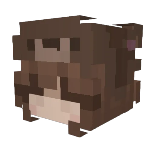 okcypher5 Minecraft avatar head, 3D render