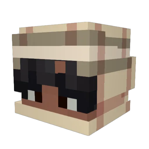 okgn Minecraft avatar head, 3D render