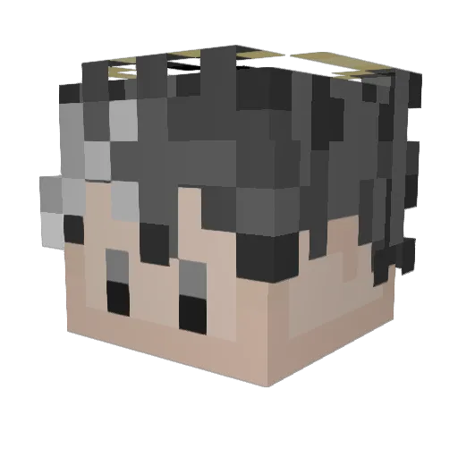 okieThere Minecraft avatar head, 3D render