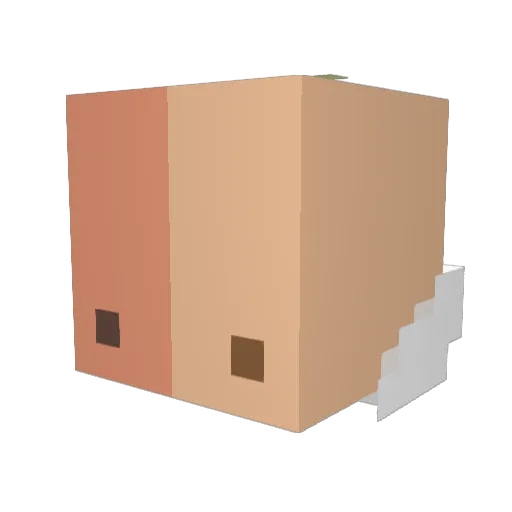okie_stephy Minecraft avatar head, 3D render