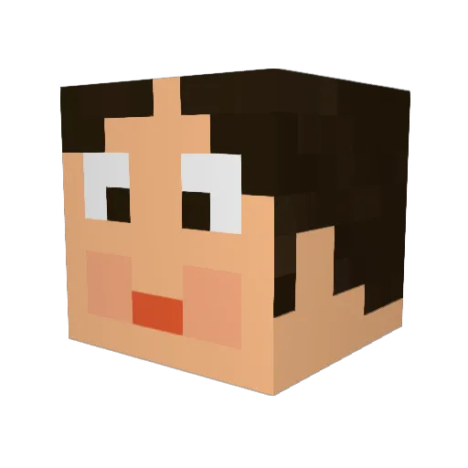 okiedokiekoki Minecraft avatar head, 3D render