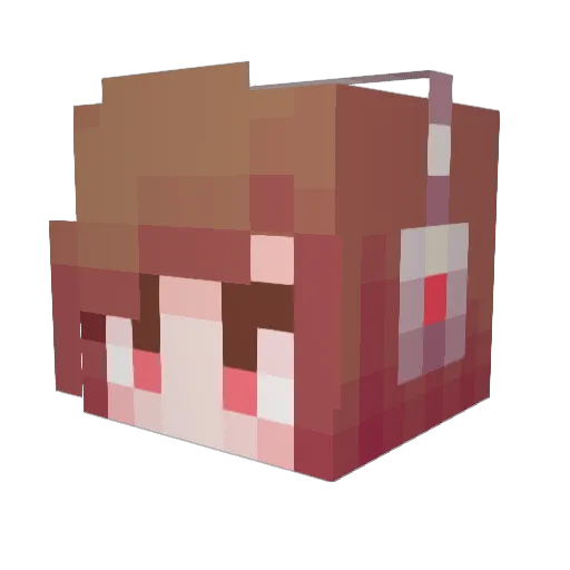 okjunseo123 Minecraft avatar head, 3D render