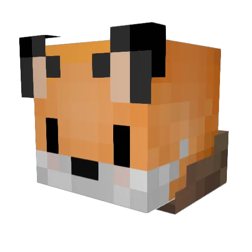 oksikkoksik Minecraft avatar head, 3D render