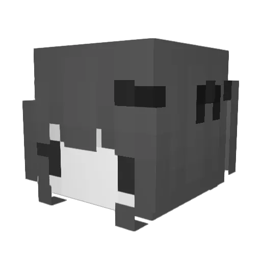 okwhatwhy Minecraft avatar head, 3D render