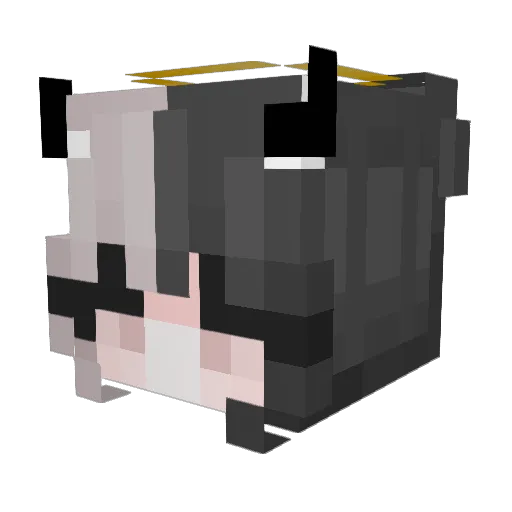 olFeign Minecraft avatar head, 3D render