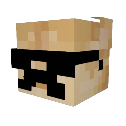 ol_22 Minecraft avatar head, 3D render