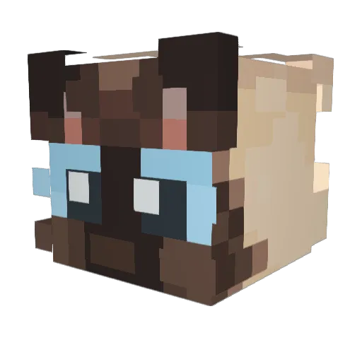 ol_e Minecraft avatar head, 3D render