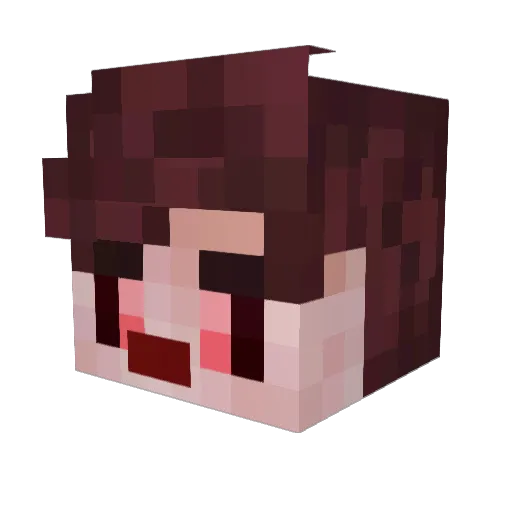 olamole Minecraft avatar head, 3D render