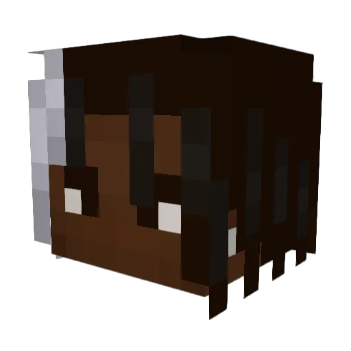 olbaa Minecraft avatar head, 3D render