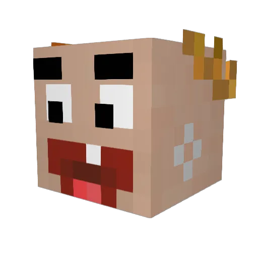 old5ki Minecraft avatar head, 3D render