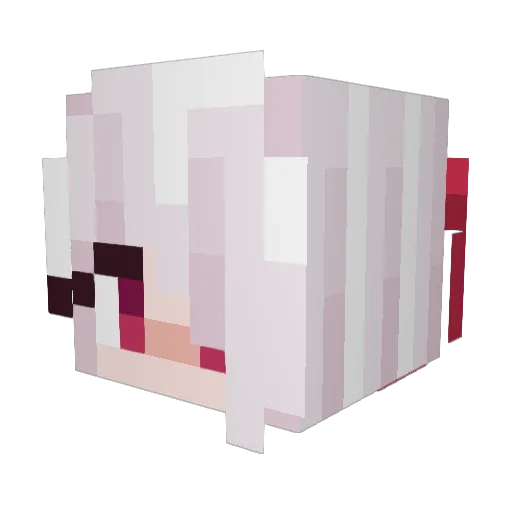 oldStories Minecraft avatar head, 3D render
