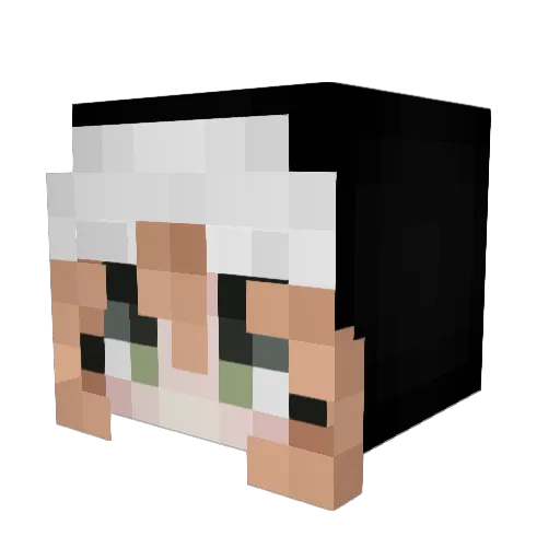 old_acc284 Minecraft avatar head, 3D render