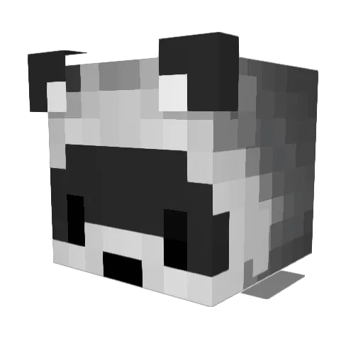 old_racon Minecraft avatar head, 3D render