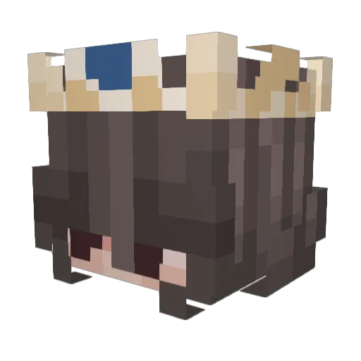 oldellieb Minecraft avatar head, 3D render