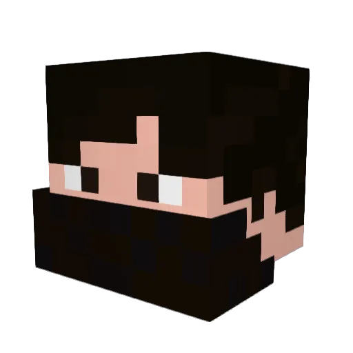oldrain21 Minecraft avatar head, 3D render