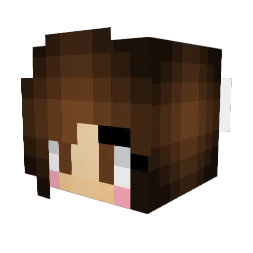 oldschoolsoph Minecraft avatar head, 3D render