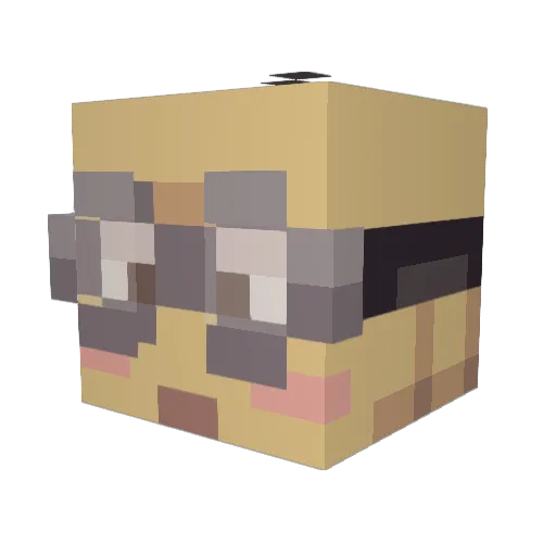 ole_chicken Minecraft avatar head, 3D render