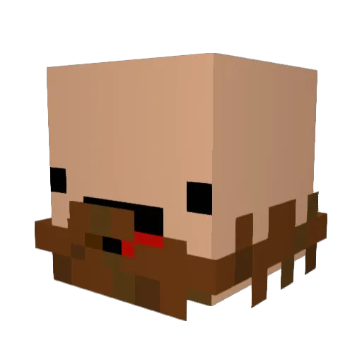 olejan1337 Minecraft avatar head, 3D render