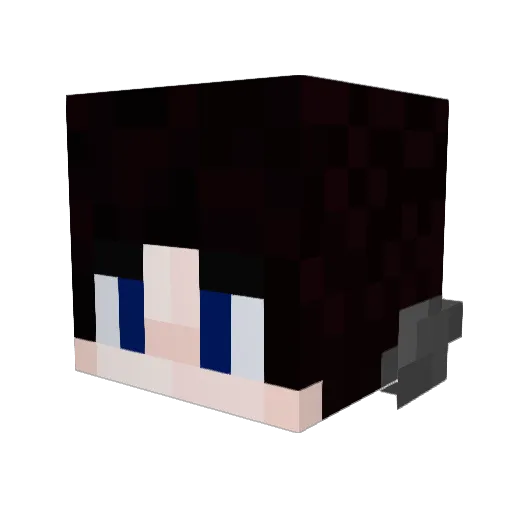 oli2137 Minecraft avatar head, 3D render