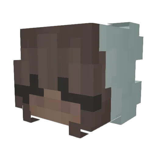 olibearrr Minecraft avatar head, 3D render
