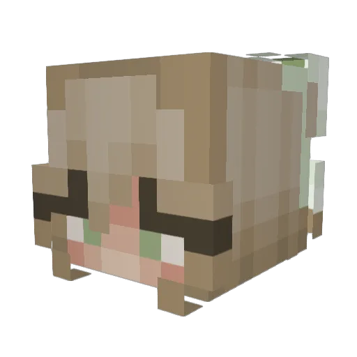 olif2115 Minecraft avatar head, 3D render