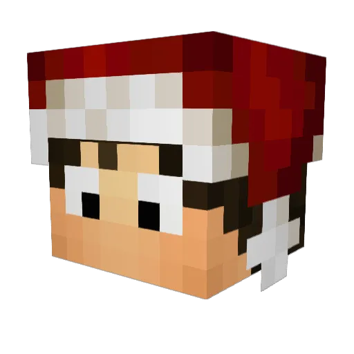 olii_29 Minecraft avatar head, 3D render