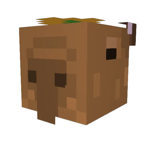 olivereve Minecraft avatar head, 3D render