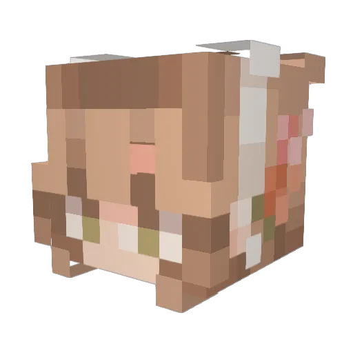 olivia_notenough Minecraft avatar head, 3D render