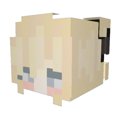 olivka666 Minecraft avatar head, 3D render