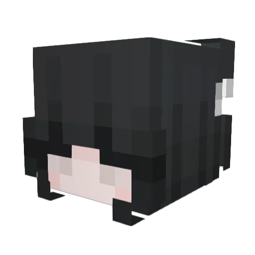 oliw7ka Minecraft avatar head, 3D render