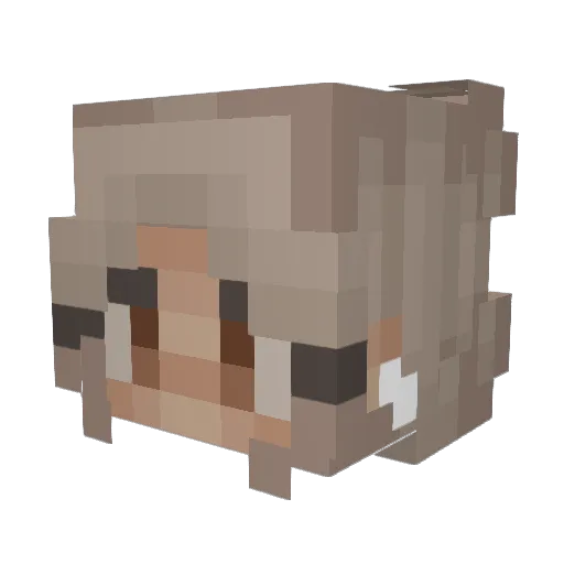 oliwia8434 Minecraft avatar head, 3D render