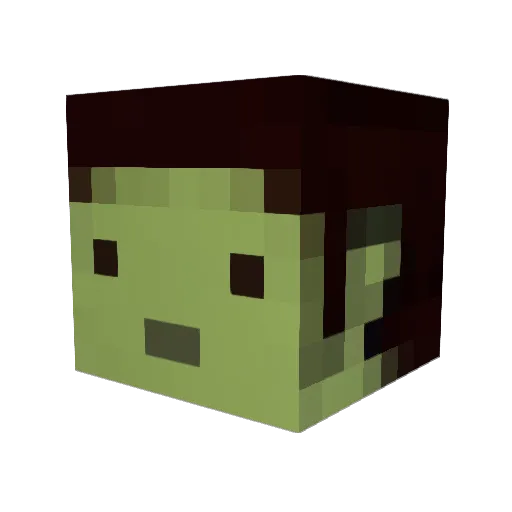 ollocks Minecraft avatar head, 3D render