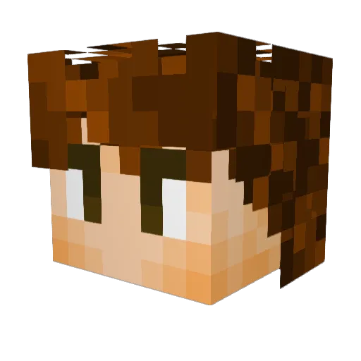 ollytro200 Minecraft avatar head, 3D render