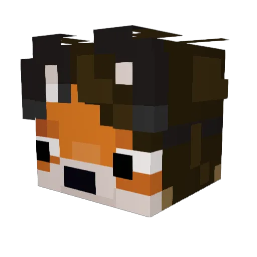 olmtx2 Minecraft avatar head, 3D render