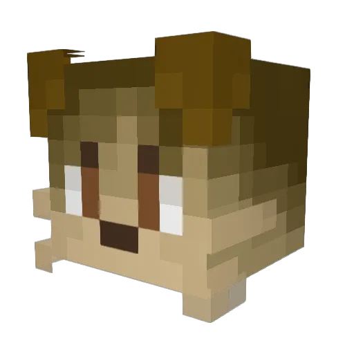 olomarcakes Minecraft avatar head, 3D render