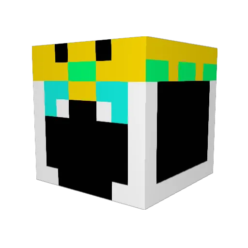 oltkerr123 Minecraft avatar head, 3D render